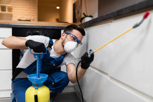 Best Bed Bug Extermination  in Franklin Furnace, OH