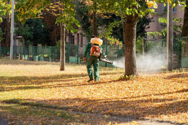 Reliable Franklin Furnace, OH Pest Control Solutions