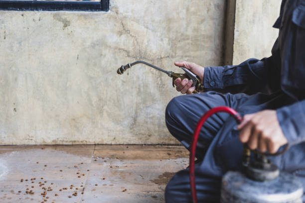 Pest Control Cost in Franklin Furnace, OH